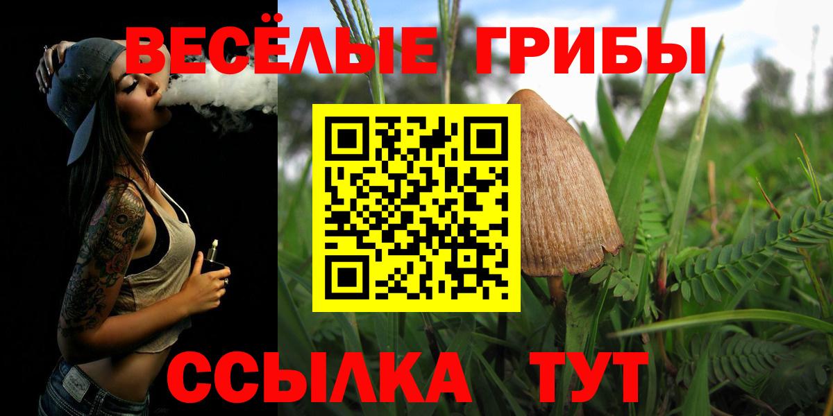 Первоуральск  Галлюциногенные грибы Magic Shrooms  Вход с VPN 