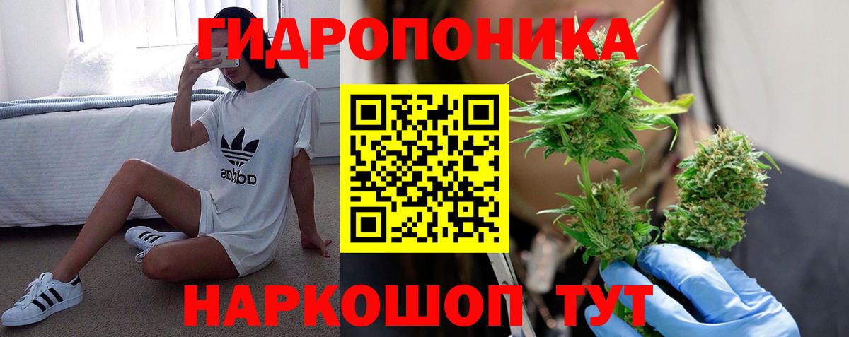 Первоуральск  Бошки Шишки ГИДРОПОН  Вход с VPN  Марихуана планчик  Каннабис конопля 